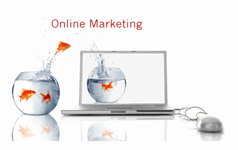 Website-Designing-in-india-haryana-karnal